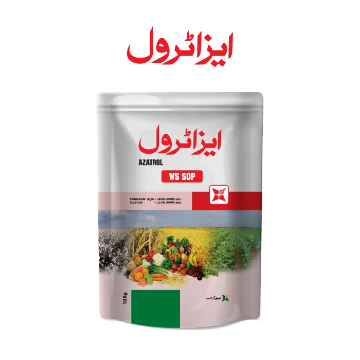 AZATROL WS SOP 25KG – Potash 50% + Sulphur 17.5% | فصلوں کی بہتر غذائیت، Flowering & Crop Quality کیلئے Fertilizer