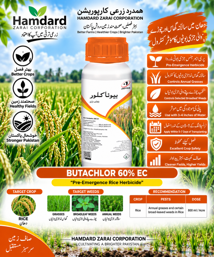 BUTACHLOR 60% EC 800ML – دھان میں سالانہ گھاس اور چوڑے پتے والی جڑی بوٹیوں کیلئے Herbicide | Jaffer