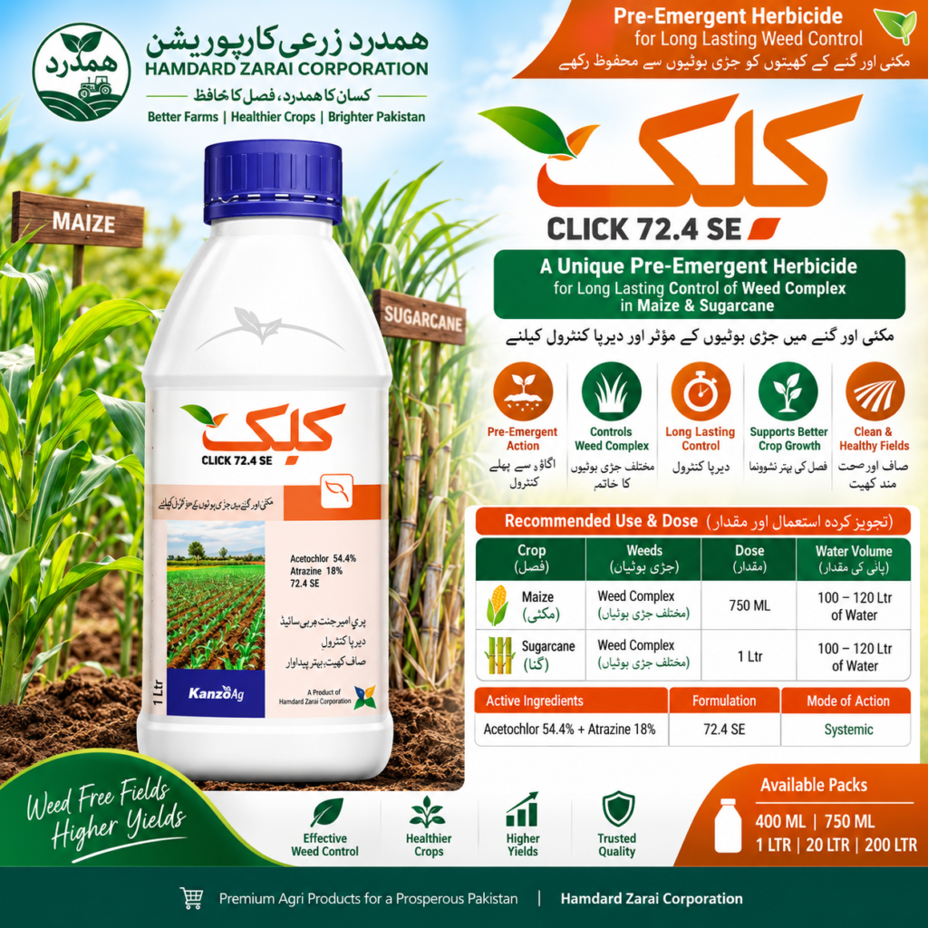CLICK 72.4 SE مکئی اور گنے میں مختلف جڑی بوٹیوں کے دیرپا کنٹرول کیلئے Acetochlor 54.4% + Atrazine 18% پر مشتمل Systemic Pre-Emergent Herbicide ہے۔