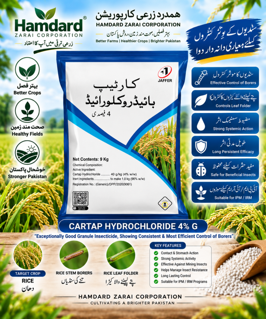 CARTAP HYDROCHLORIDE 4% G 9KG – دھان میں تنے کی سنڈی اور پتے لپیٹنے والے کیڑے کیلئے Insecticide | Jaffer