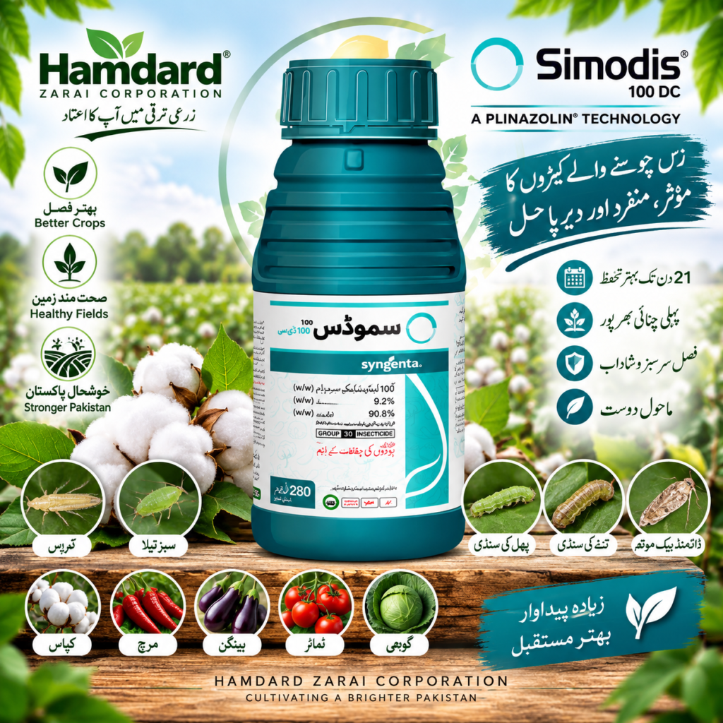 SIMODIS 100 DC 280ML – کپاس میں تھرپس اور سبز تیلے کیلئے کیڑے مار دوا | Syngenta
