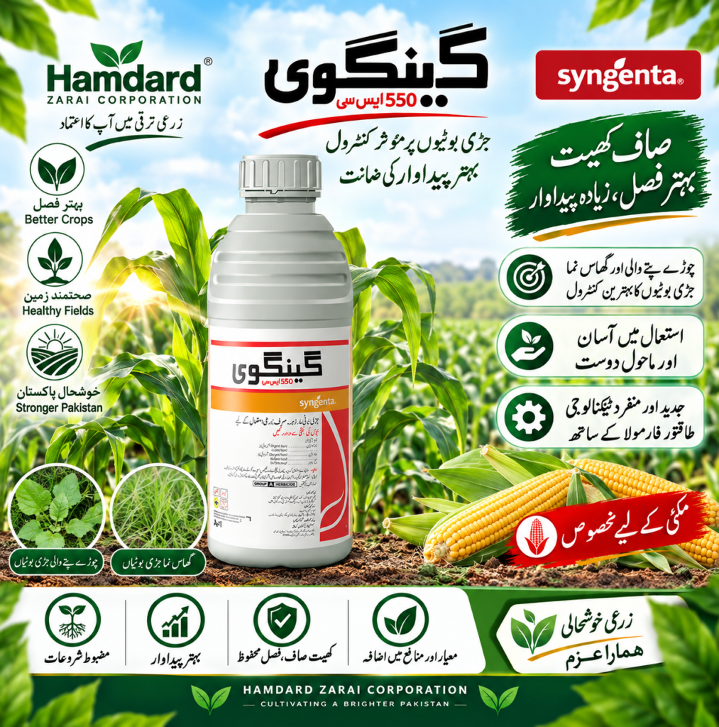 GENGWEI 550 SC 1L – مکئی میں چوڑے پتے اور گھاس نما جڑی بوٹیوں کیلئے Herbicide | Syngenta