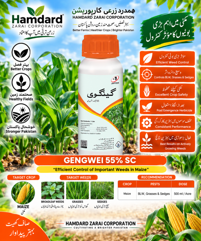 GENGWEI 55% SC – مکئی میں گھاس اور چوڑے پتے والی جڑی بوٹیوں کیلئے Herbicide | Jaffer