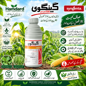 GENGWEI 550 SC 1L – مکئی میں چوڑے پتے اور گھاس نما جڑی بوٹیوں کیلئے Herbicide | Syngenta