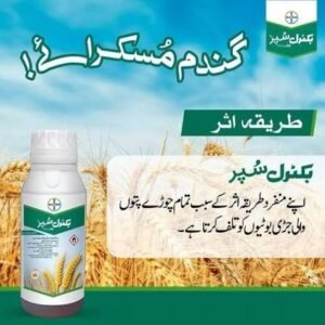 BUCTRIL SUPER 60% EC 300ML – گندم میں چوڑے پتوں والی جڑی بوٹیوں کے کنٹرول کیلئے Broad-Spectrum Herbicide | Bayer