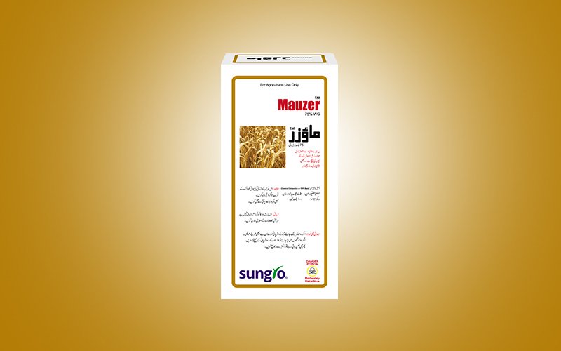 MAUZER 75% WG – گندم میں مختلف جڑی بوٹیوں کے کنٹرول کیلئے Selective & Systemic Herbicide | Sungro