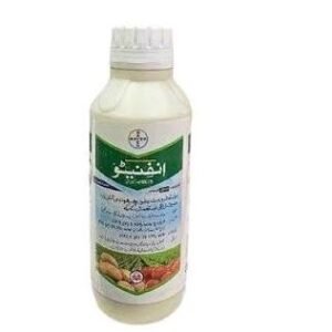 INFINITO 68.75 SC 600ML – آلو اور ٹماٹر میں جھلساؤ کے مؤثر انتظام کیلئے Fungicide | Bayer