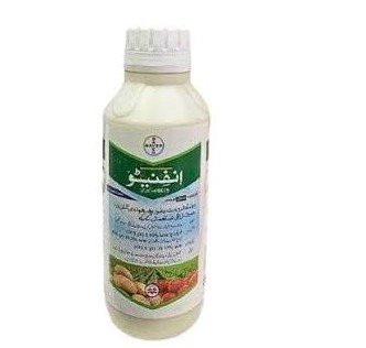 INFINITO 68.75 SC 600ML – آلو اور ٹماٹر میں جھلساؤ کے مؤثر انتظام کیلئے Fungicide | Bayer