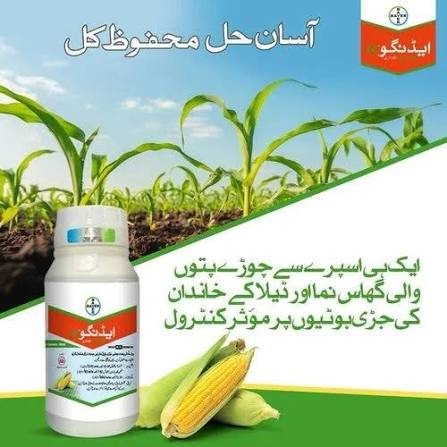 ADENGO XTRA – ایڈینگو ایکسٹرا، مکئی میں جڑی بوٹیوں کے مؤثر کنٹرول کیلئے Broad-Spectrum Herbicide | Bayer