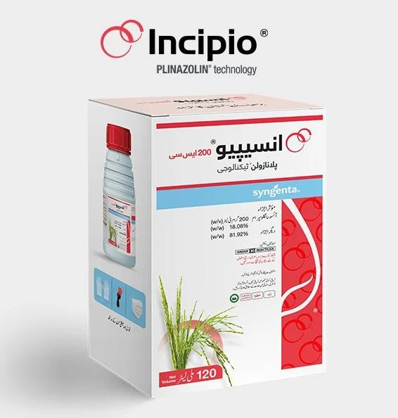INCIPIO 200SC 120ML – دھان میں پتہ لپیٹ اور تنے کی سنڈی کے مکمل خاتمے کیلئے Insecticide