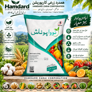 NOVAPOTASH 25KG – فصل، پھل اور سبزیوں کیلئے Water Soluble SOP Potash Fertilizer | Jaffer