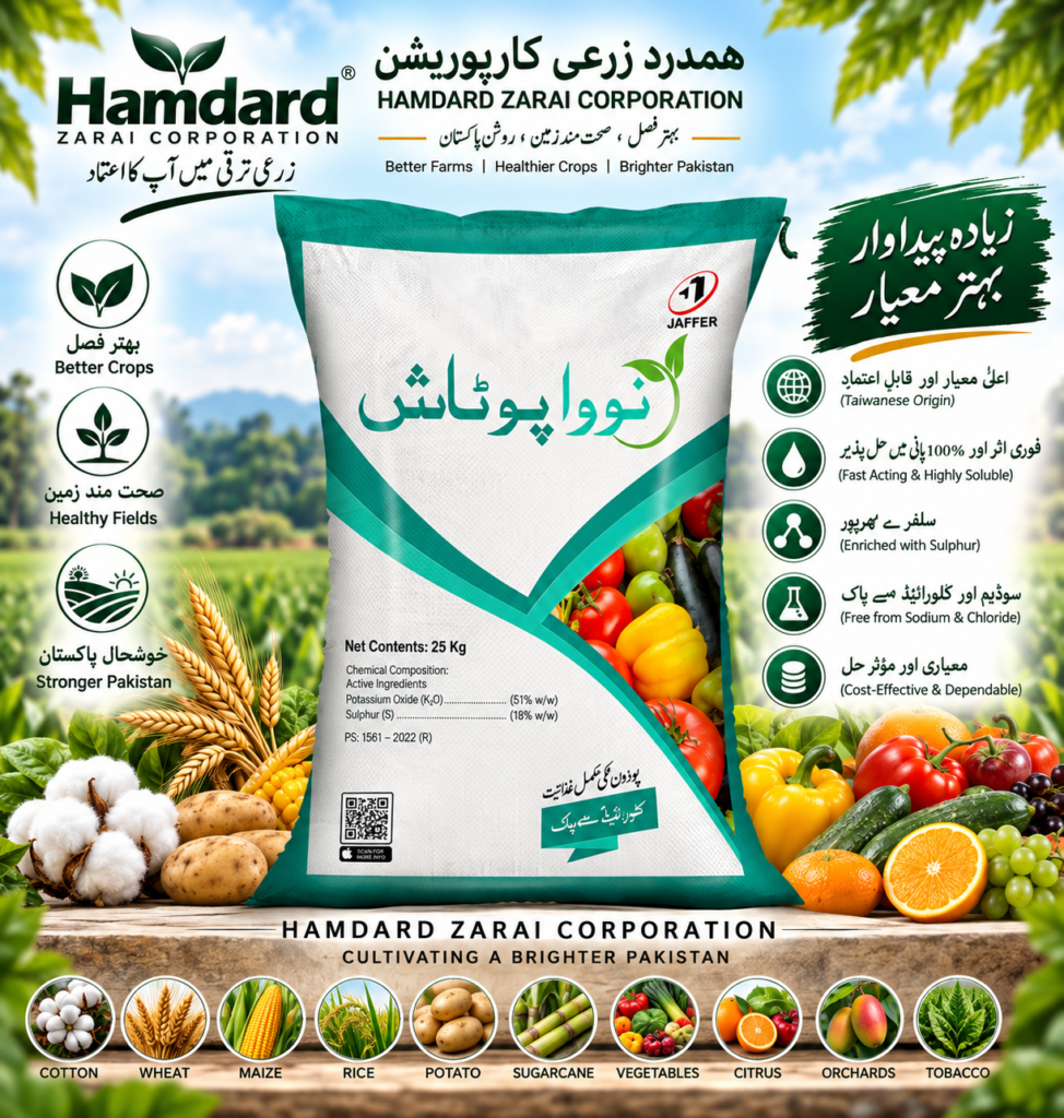 NOVAPOTASH 25KG – فصل، پھل اور سبزیوں کیلئے Water Soluble SOP Potash Fertilizer | Jaffer