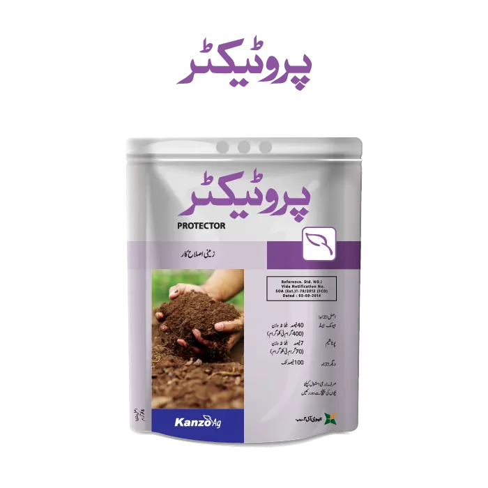 PROTECTOR Humic Acid 40% + Potash 7% 8KG – Soil Conditioner | مٹی کی زرخیزی، مضبوط جڑوں اور بہتر Crop Growth کیلئے