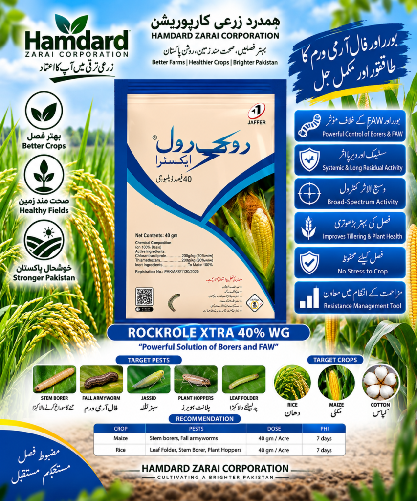 ROCKROLE XTRA 40% WG 40GM – مکئی اور دھان میں بوررز اور Fall Armyworm کیلئے Systemic Insecticide | Jaffer