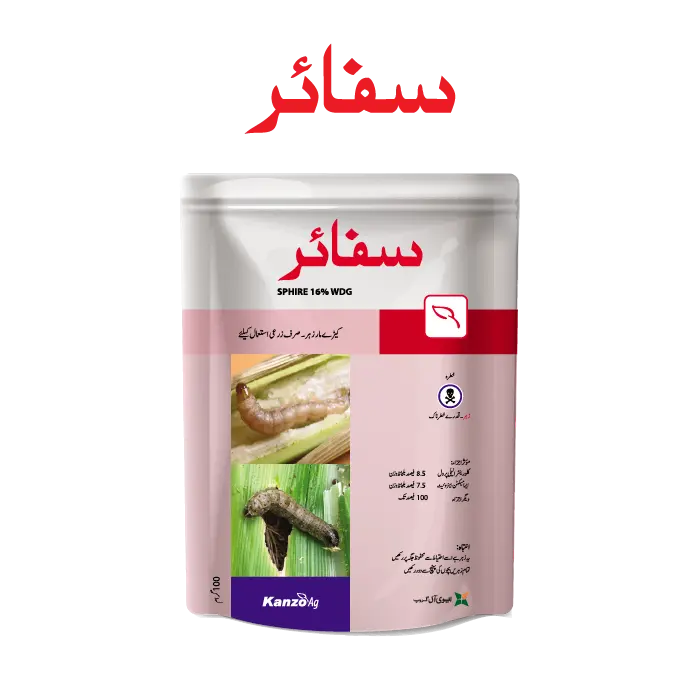 SPHIRE 16% WDG 100GM – مکئی میں FAW & Borers کے مؤثر کنٹرول کیلئے Systemic Insecticide