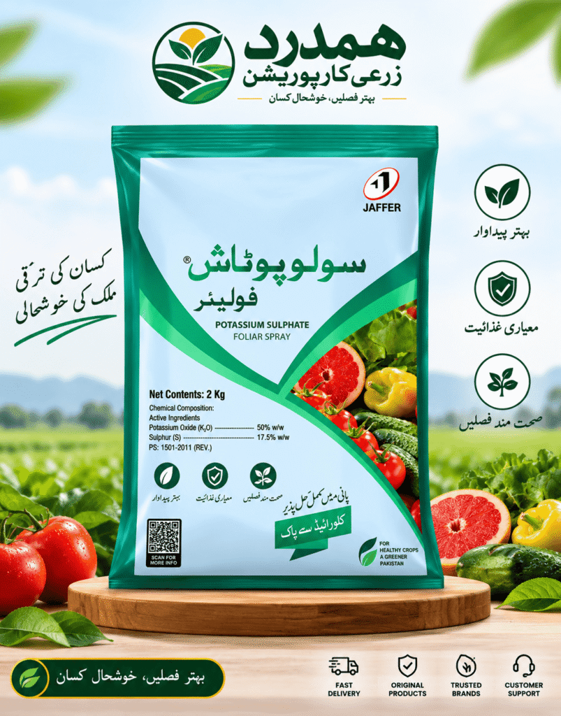 Solu Potash 25kg – Jaffer Agro Services | Sulphate of Potash (SOP) Chloride Free Fertilizer