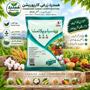 SOLUPLANT NPK 20-20-20 2KG – متوازن پانی میں حل پذیر NPK کھاد | Jaffer
