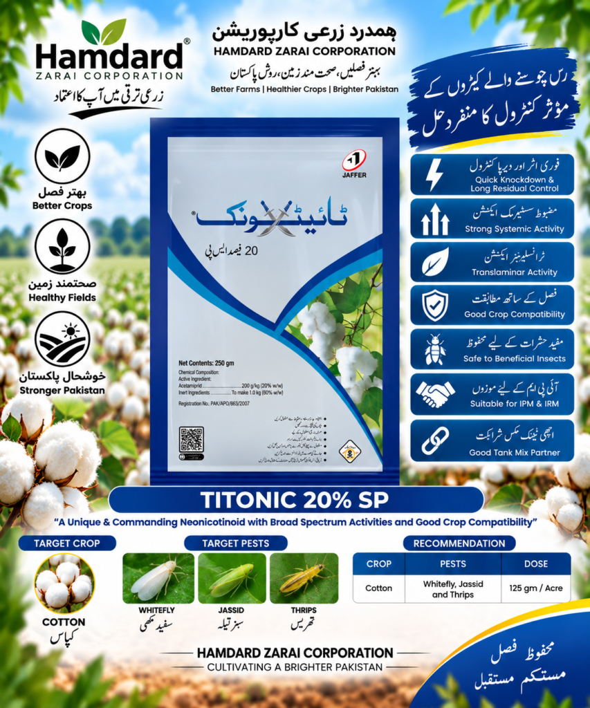TITONIC 20% SP 250GM – کپاس میں سفید مکھی، سبز تیلہ اور تھرپس کیلئے Systemic Insecticide | Jaffer