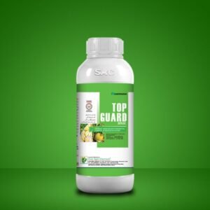 Top Guard 30% SC – خربوزہ میں Powdery Mildew کے کنٹرول کیلئے Systemic Fungicide | 200ml, 400ml & 800ml | Cheminova
