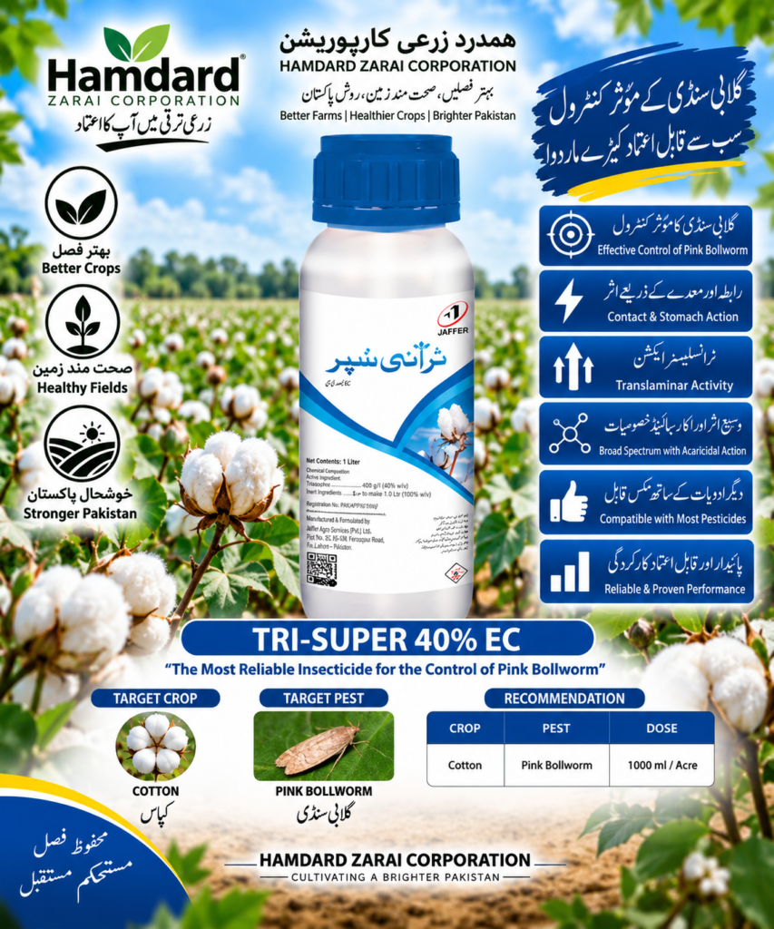 TRI-SUPER 40% EC 1L – کپاس میں گلابی سنڈی کے مؤثر کنٹرول کیلئے Insecticide | Jaffer