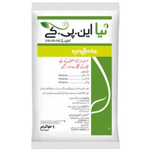 NAYA NPK 15-15-15 1KG – فصلوں کی بہتر نشوونما کیلئے متوازن NPK کھاد | Syngenta