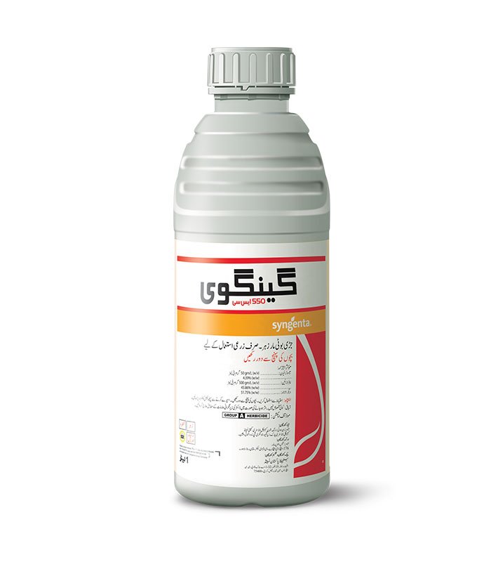 GENGWEI 550 SC 1L – مکئی میں چوڑے پتے اور گھاس نما جڑی بوٹیوں کیلئے Herbicide | Syngenta
