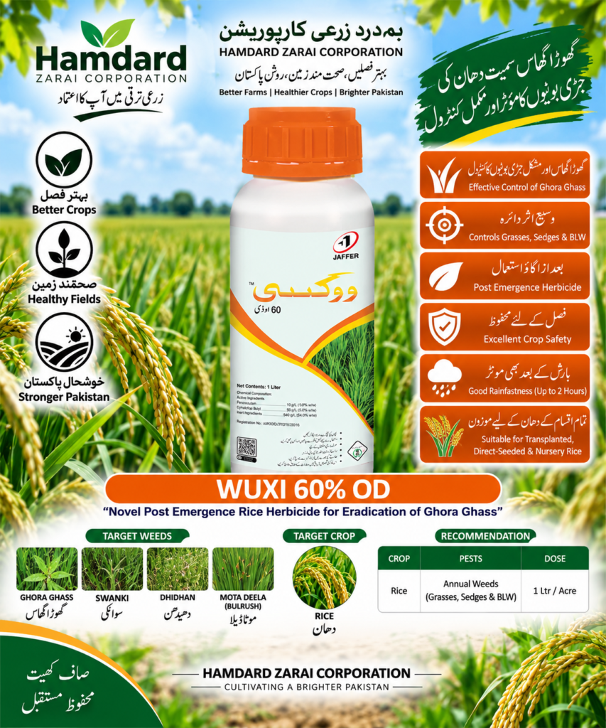 WUXI 60% OD 1L – دھان میں گھوڑا گھاس اور دیگر جڑی بوٹیوں کیلئے Post-Emergence Herbicide | Jaffer