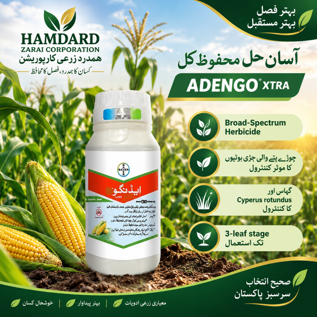 ADENGO XTRA – ایڈینگو ایکسٹرا، مکئی میں جڑی بوٹیوں کے مؤثر کنٹرول کیلئے Broad-Spectrum Herbicide | Bayer