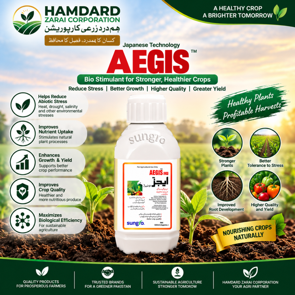 Aegis Bio Stimulant – فصل کو Abiotic Stress سے بچانے اور بہتر Growth کیلئے Japanese Technology | Sungro