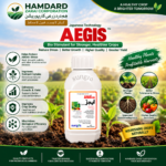 Sungro Aegis Bio Stimulant with Japanese technology