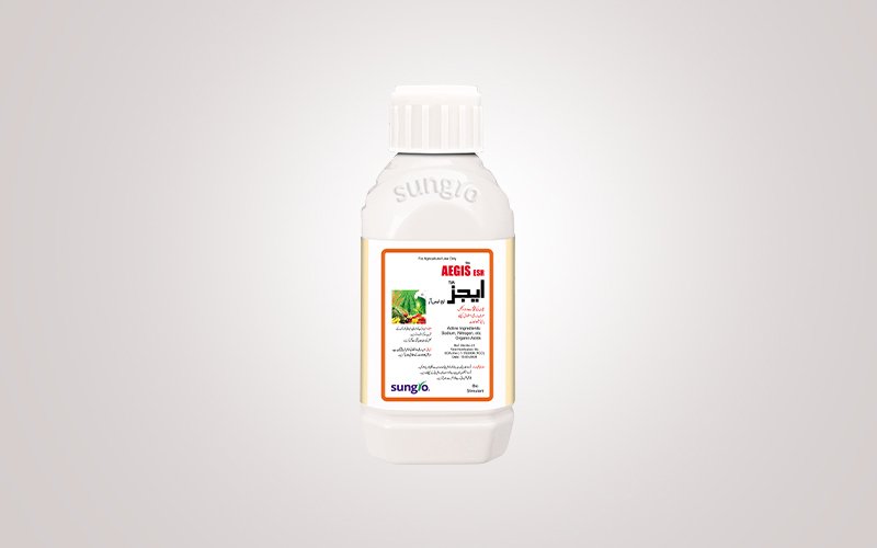 Aegis Bio Stimulant – فصل کو Abiotic Stress سے بچانے اور بہتر Growth کیلئے Japanese Technology | Sungro