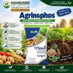 Sungro Agrinophos Bio Organo Phosphate Fertilizer