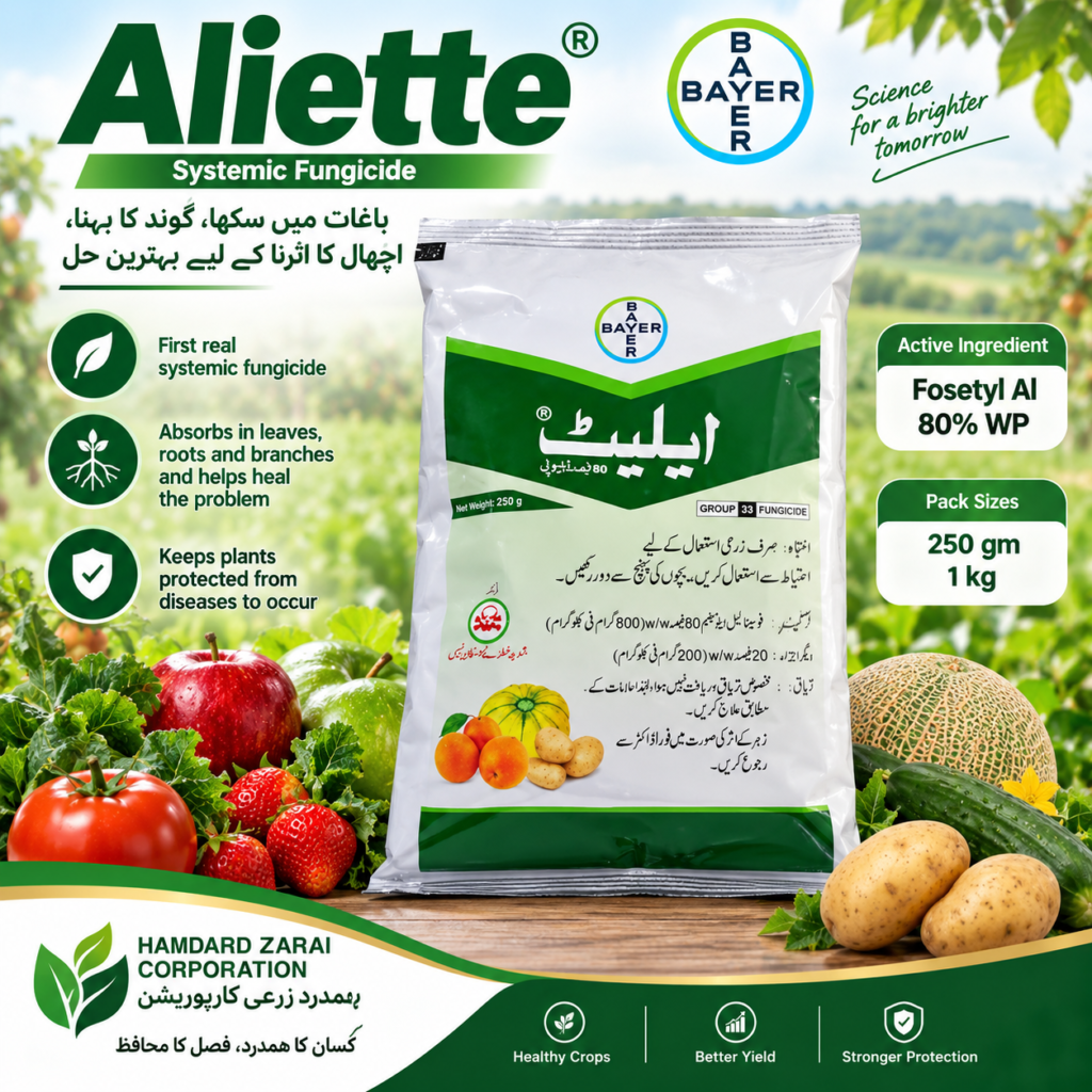 Aliette 80% WP 250GM – پھپھوندی کی بیماریوں کے مؤثر کنٹرول کیلئے Systemic Fungicide | Bayer