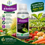 Bayer Ambition Plant Activator bottle for plant growth and flowering