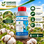 Amigo 1.9% EC insecticide containing Emamectin Benzoate for Helicoverpa armigera control in cotton