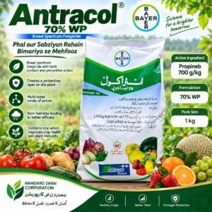 Antracol 70% WP 1KG – پھل اور سبزیوں کو بیماریوں سے محفوظ رکھنے کیلئے Broad Spectrum Fungicide | Bayer