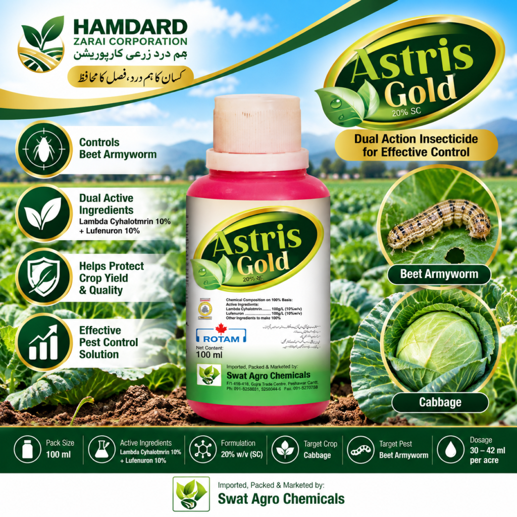 ASTRIS GOLD 20% SC 100ml – بند گوبھی میں Beet Armyworm کے کنٹرول کیلئے Insecticide | Swat Agro Chemicals