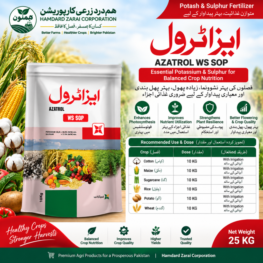AZATROL WS SOP 25KG – Potash 50% + Sulphur 17.5% | فصلوں کی بہتر غذائیت، Flowering & Crop Quality کیلئے Fertilizer