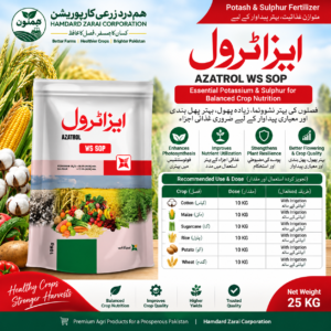AZATROL WS SOP 25KG – Potash 50% + Sulphur 17.5% | فصلوں کی بہتر غذائیت، Flowering & Crop Quality کیلئے Fertilizer