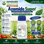Sungro Azomide Super fungicide containing Azoxystrobin and Difenoconazole