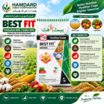 Best Fit 50% 10KG fertilizer bag with Potassium 50% and Sulfur 43%