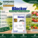 Sungro Blocker 60% WG fungicide containing Pyraclostrobin and Metiram