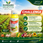 Challenge Bayer 500ml broad-spectrum herbicide for pre-emergence weed control
