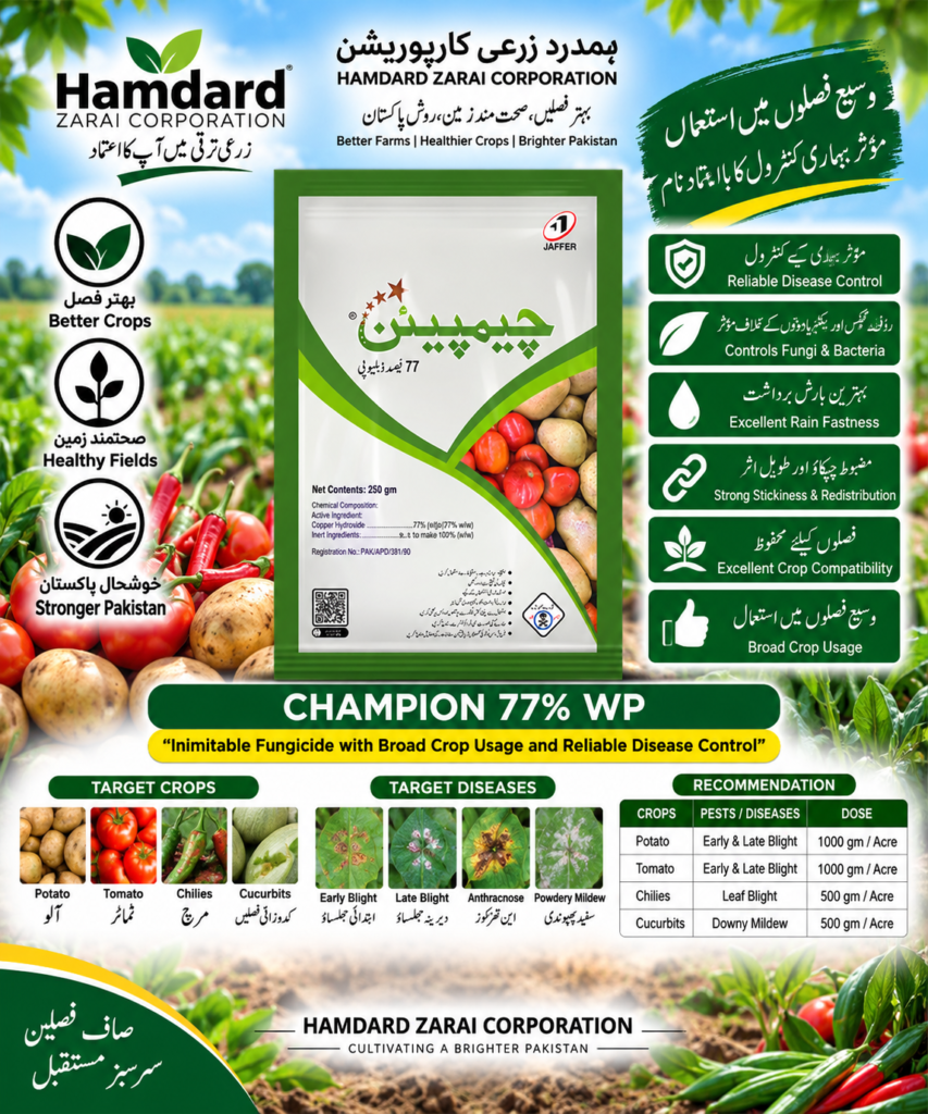CHAMPION 77% WP 250GM – آلو اور سبزیوں میں پھپھوندی اور Blight کے کنٹرول کیلئے Fungicide | Jaffer