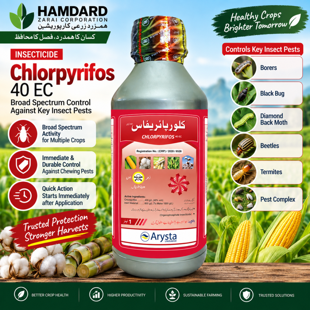 Chlorpyrifos 40 EC 1 Litre – Cotton، Sugarcane & Maize میں Borers اور دیگر کیڑوں کے کنٹرول کیلئے Insecticide | Arysta