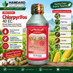 Chlorpyrifos 40 EC 1 Litre Arysta LifeScience insecticide for cotton sugarcane and maize