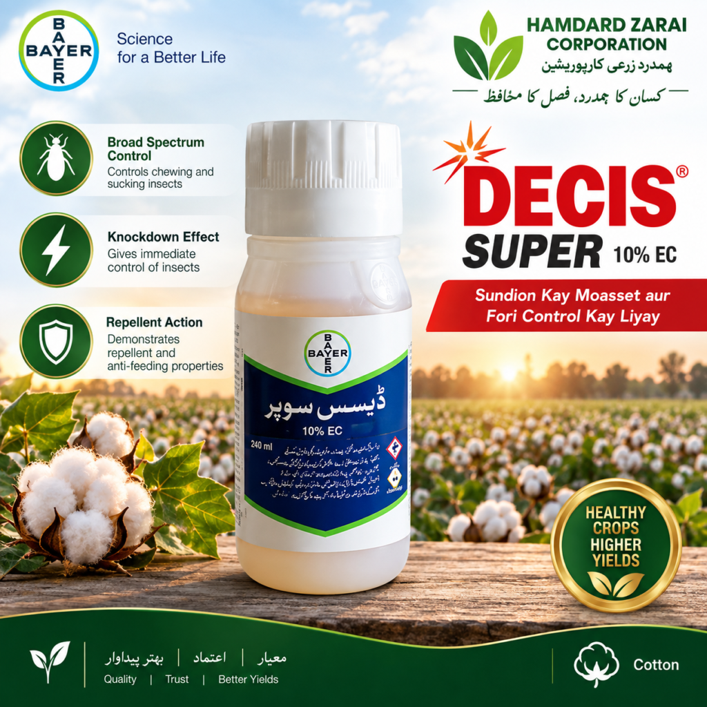 DECIS SUPER 10% EC 240 ML – کپاس میں سنڈیوں کے مؤثر اور فوری کنٹرول کیلئے Insecticide | Bayer