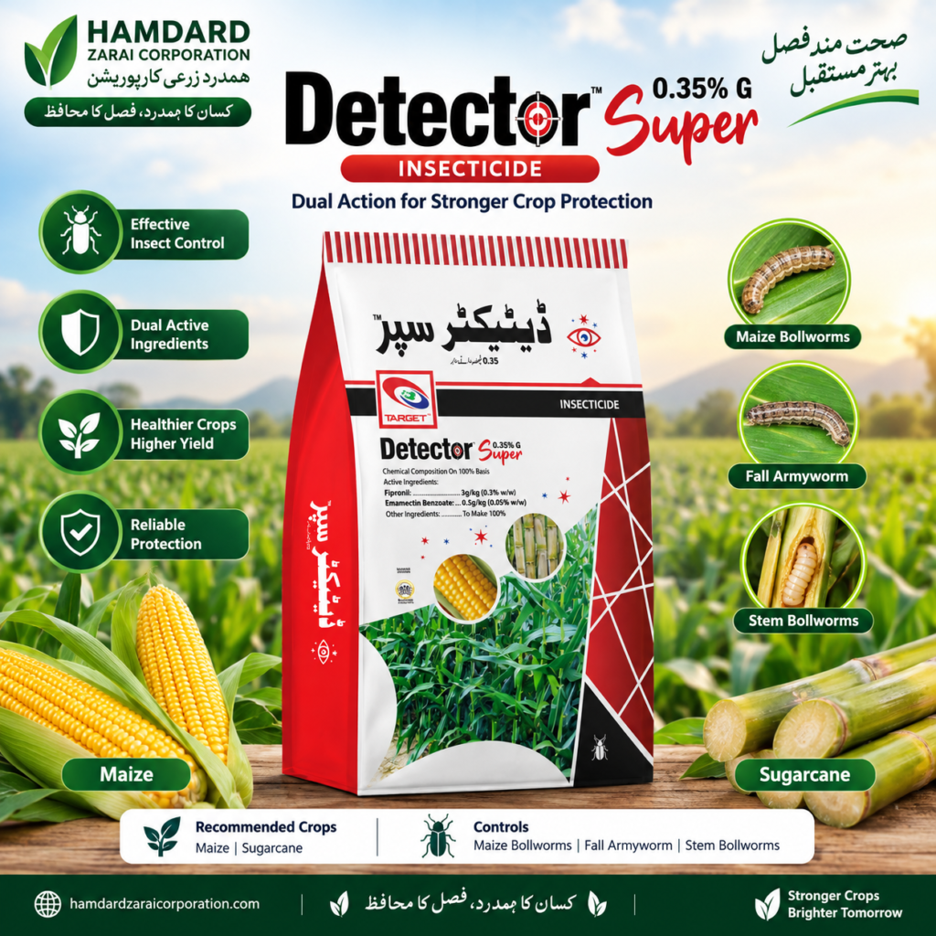 Detector Super 0.35% G – مکئی اور گنے میں سنڈیوں کے مؤثر کنٹرول کیلئے Insecticide | Target