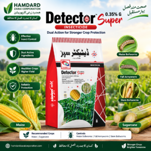 Detector Super 0.35% G – مکئی اور گنے میں سنڈیوں کے مؤثر کنٹرول کیلئے Insecticide | Target