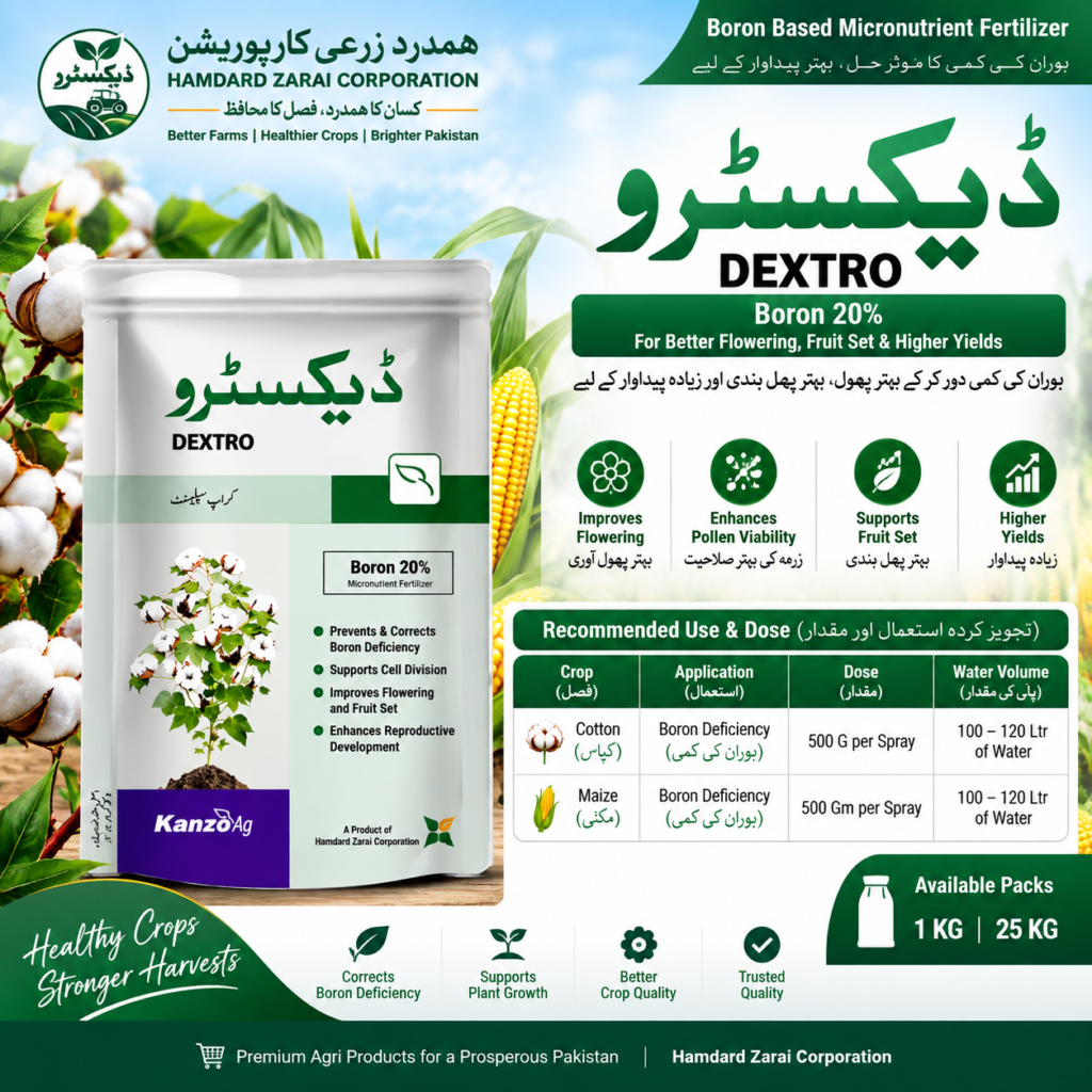 DEXTRO Boron 20% 1KG – بوران کی کمی، بہتر Flowering & Fruit Set کیلئے Micronutrient Fertilizer